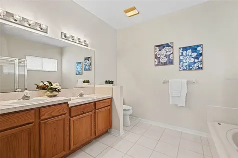 30631 Nickerson Loop Wesley Chapel FL 33543