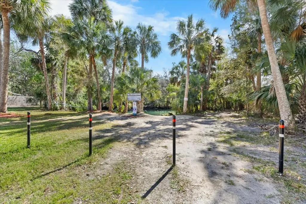 6093 Avenue Of The Palms Weeki Wachee FL 34607