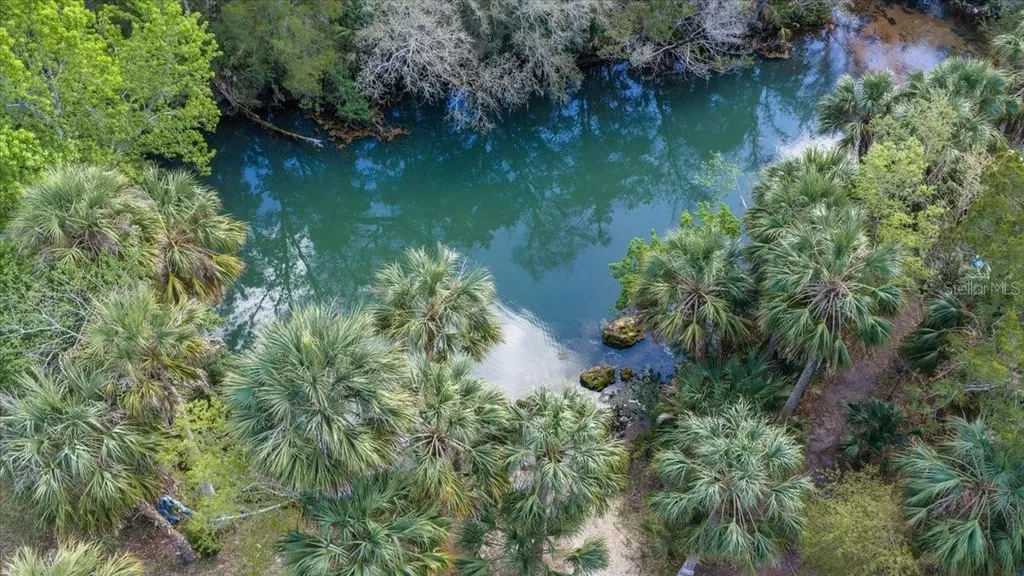 6093 Avenue Of The Palms Weeki Wachee FL 34607