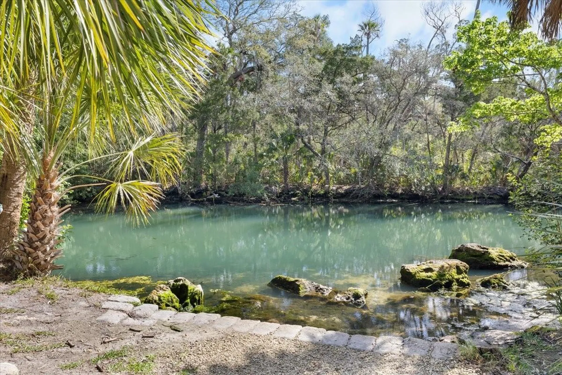 6093 Avenue Of The Palms Weeki Wachee FL 34607