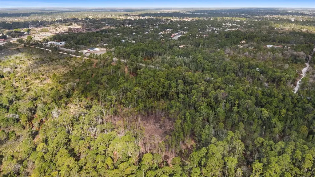 2613 & 2629 Hammock Road Sebring FL 33872