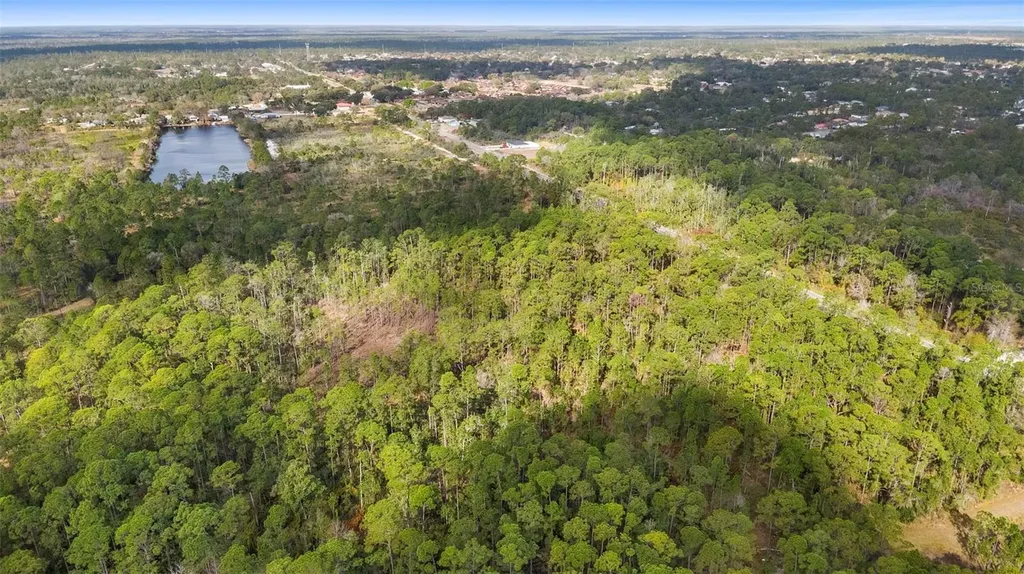 2613 & 2629 Hammock Road Sebring FL 33872