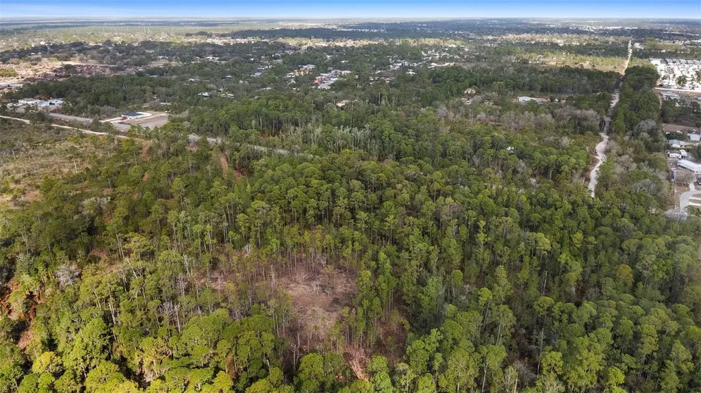 2613 & 2629 Hammock Road Sebring FL 33872