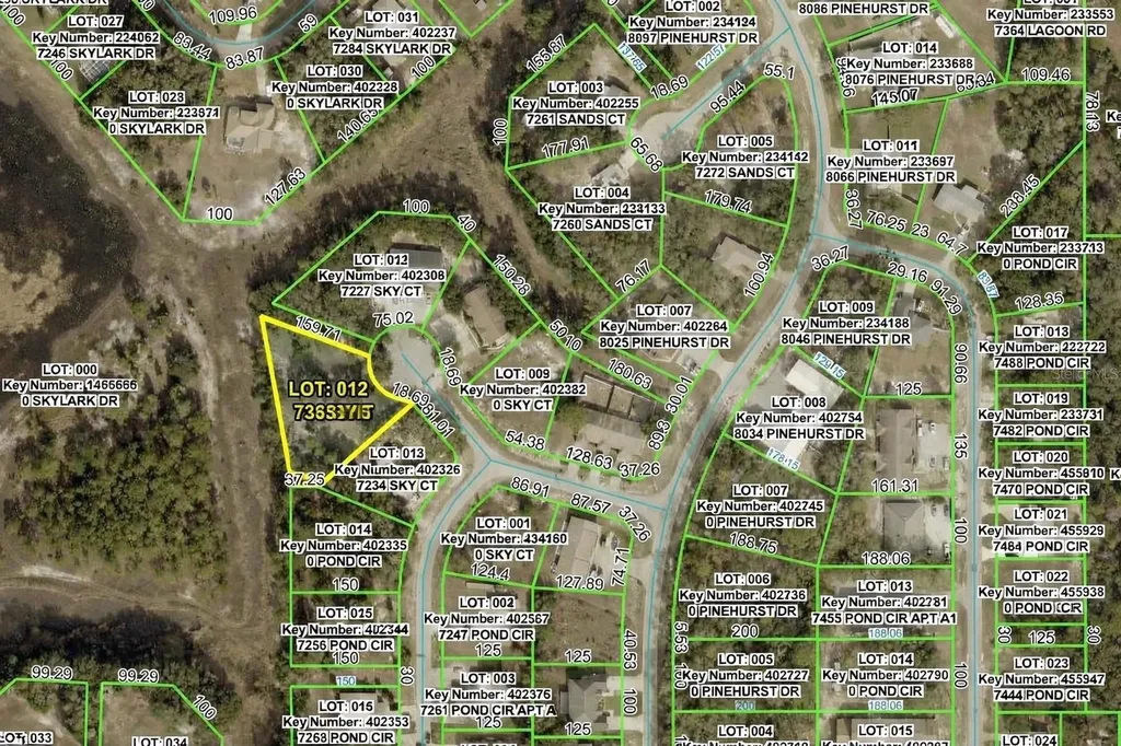 7226 Sky Court Spring Hill FL 34606
