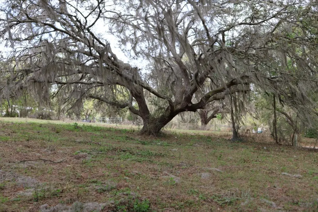 11234 SE 121st Lane Road Belleview FL 34420