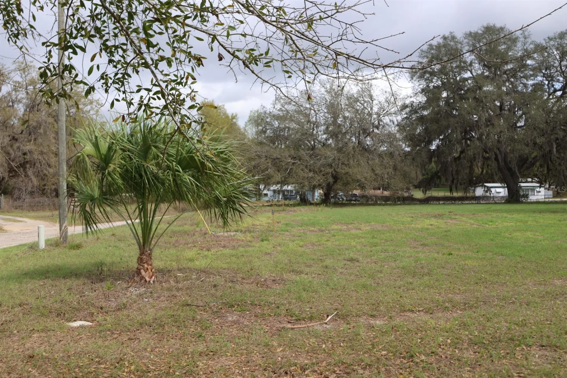 11234 SE 121st Lane Road Belleview FL 34420