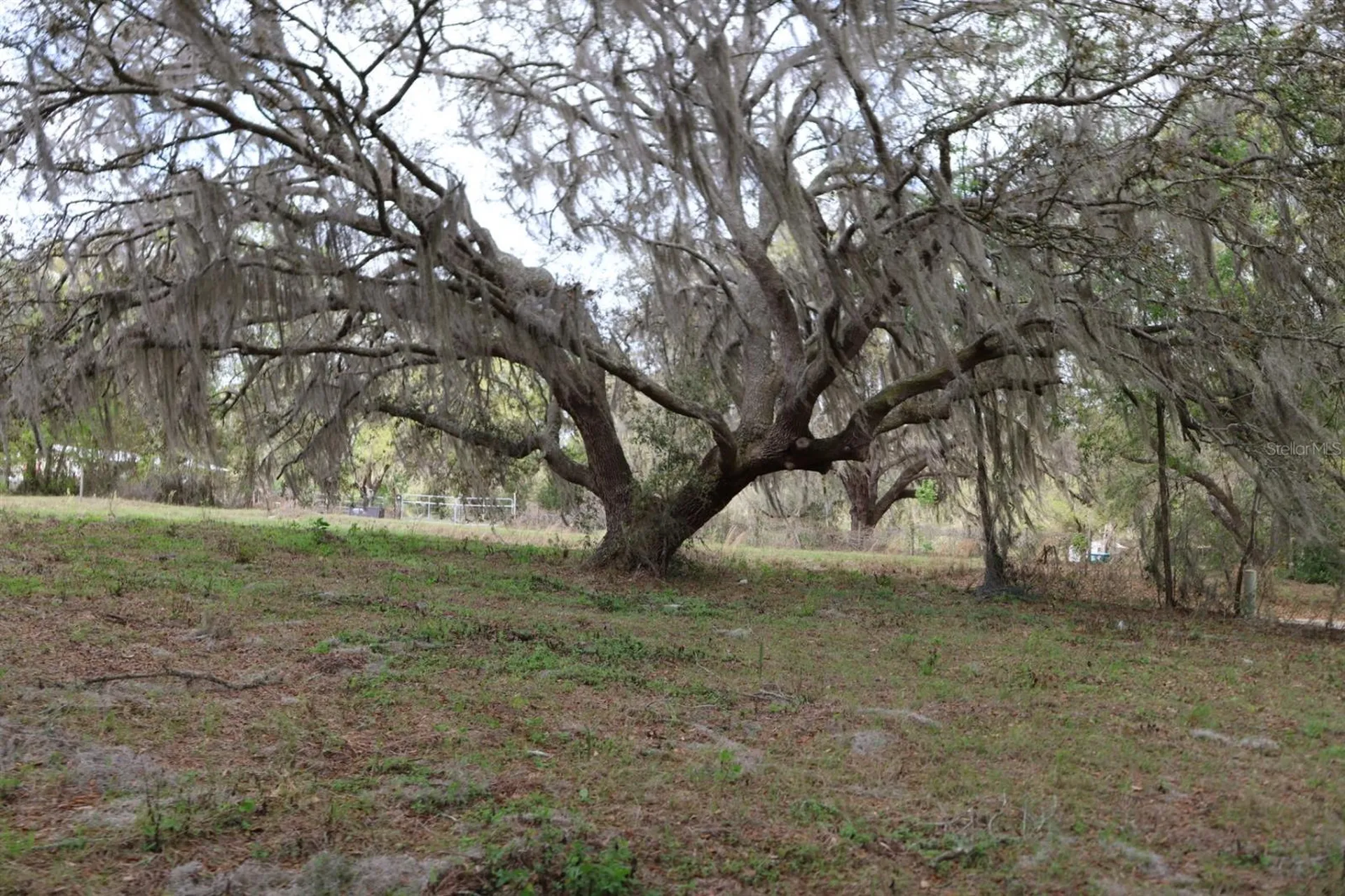 11234 SE 121st Lane Road Belleview FL 34420