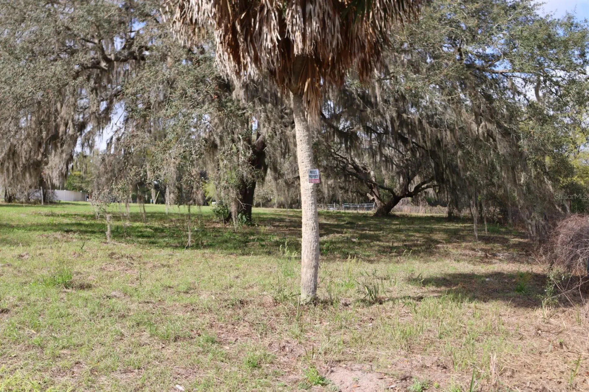 11234 SE 121st Lane Road Belleview FL 34420