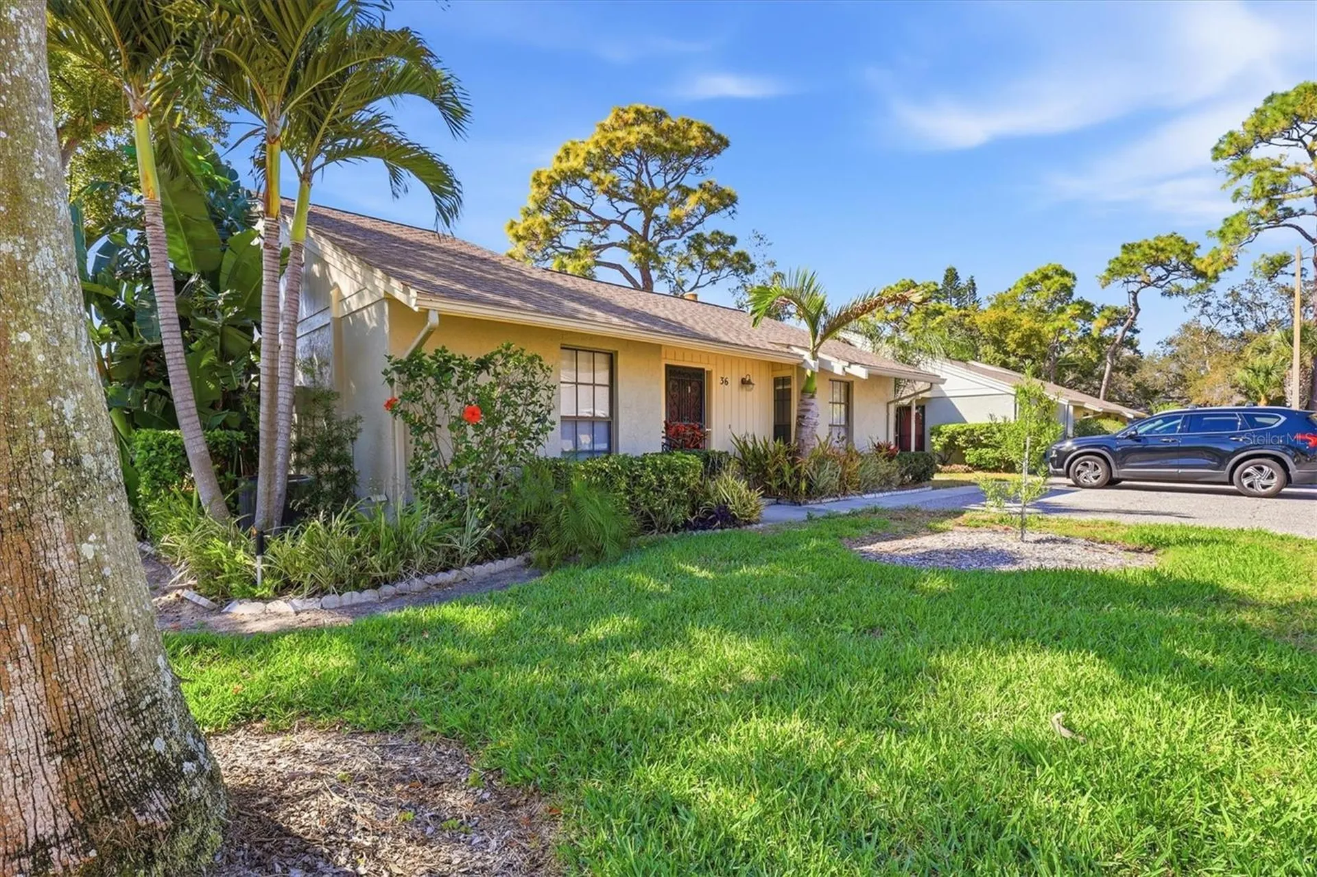 36 Windrush Bay Drive Tarpon Springs FL 34689