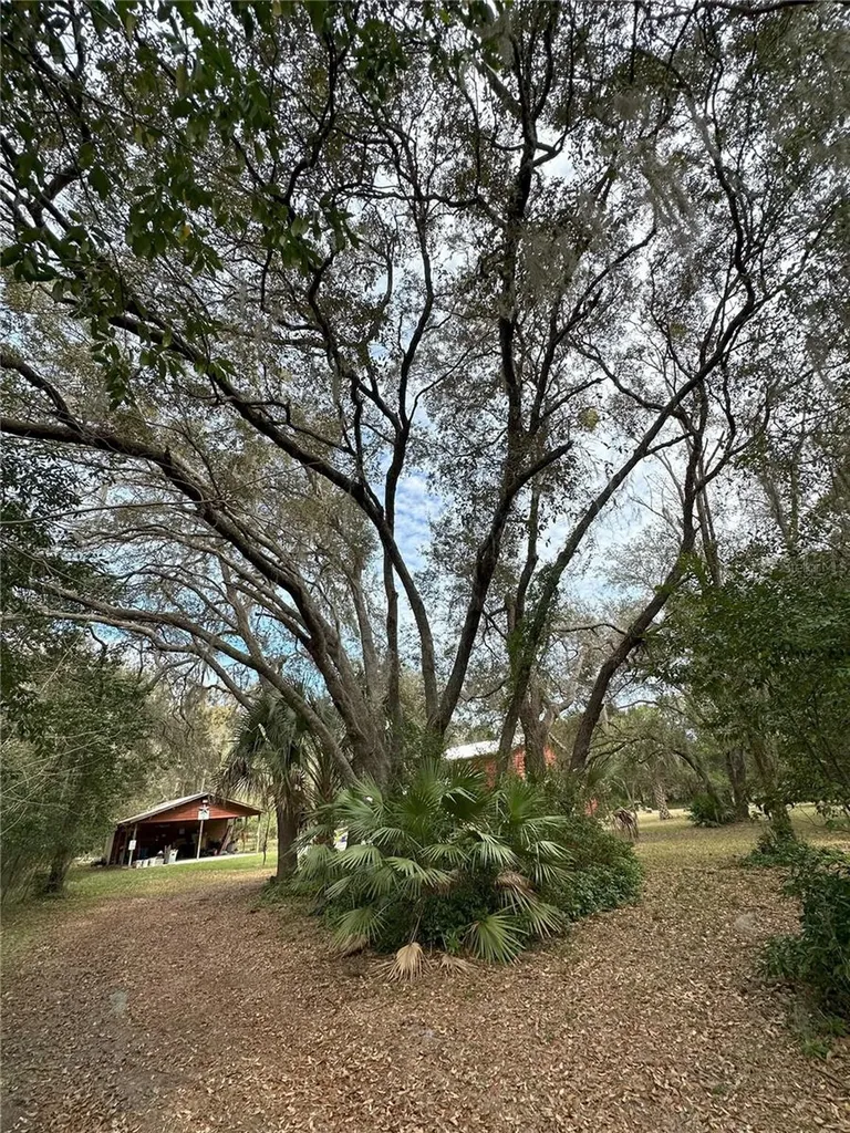 596 State Road 20 Palatka FL 32177
