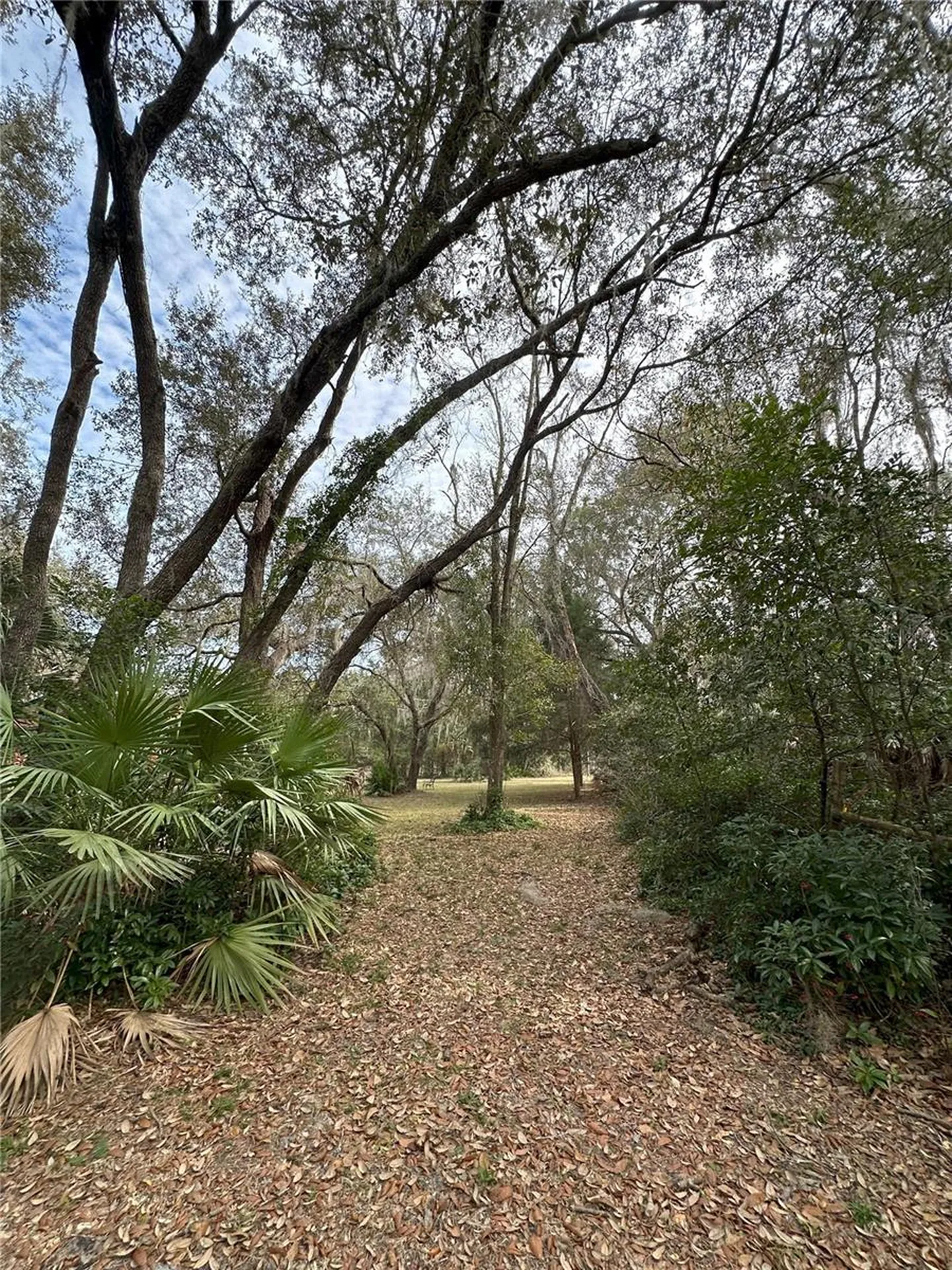596 State Road 20 Palatka FL 32177