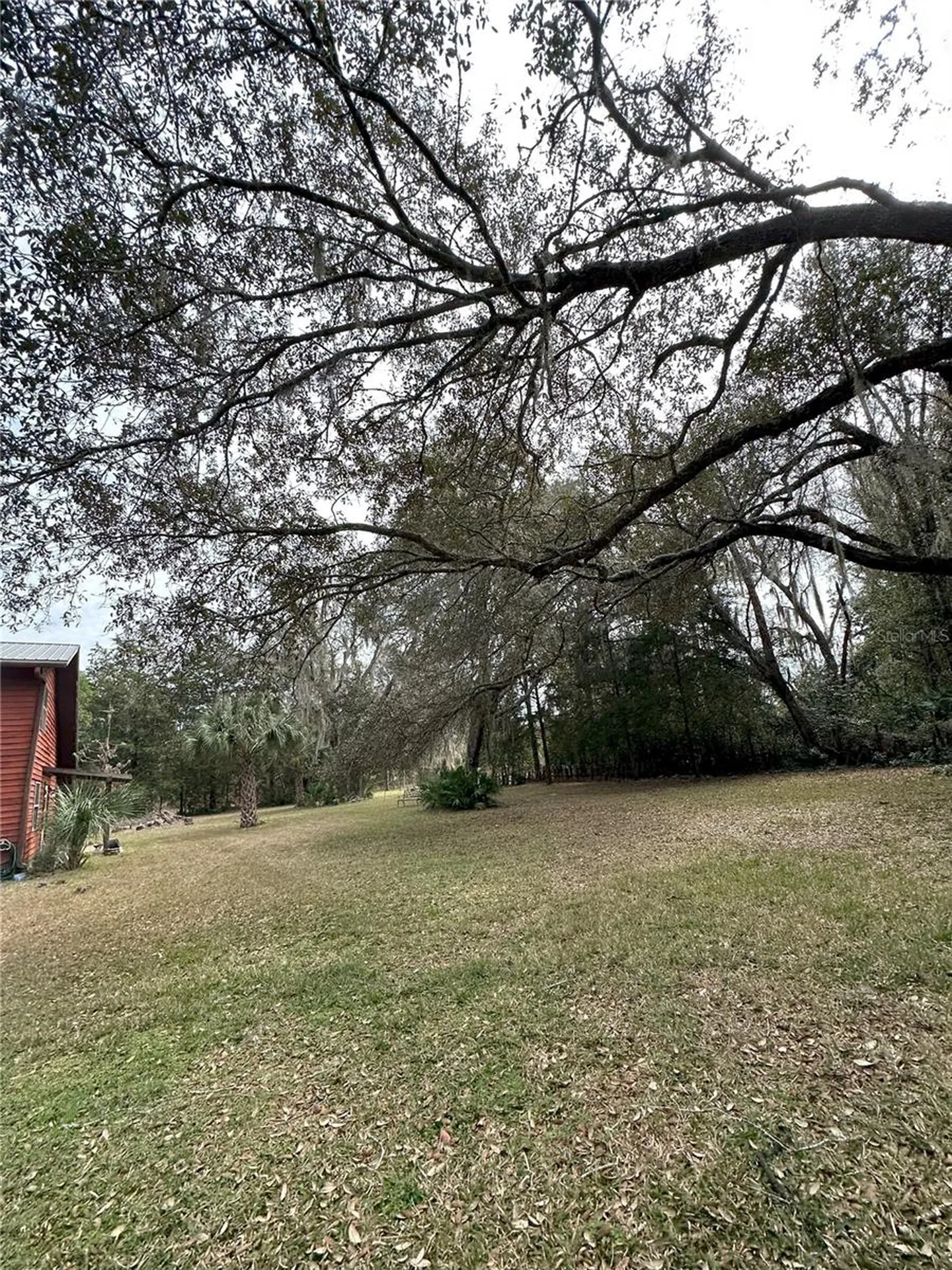 596 State Road 20 Palatka FL 32177