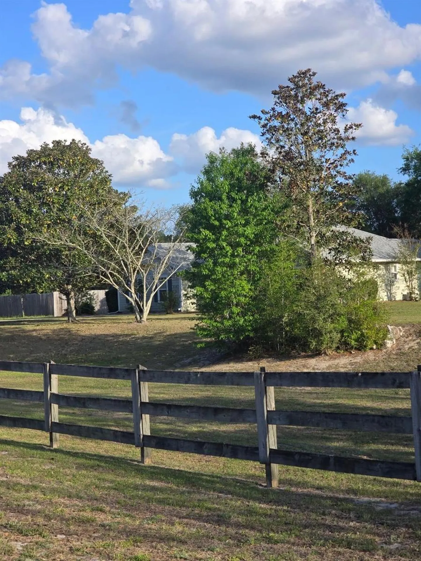 9567 SW 98th Avenue Gainesville FL 32608