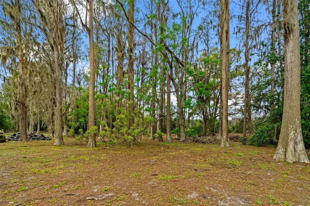 18117 Boy Scout Road Odessa FL 33556