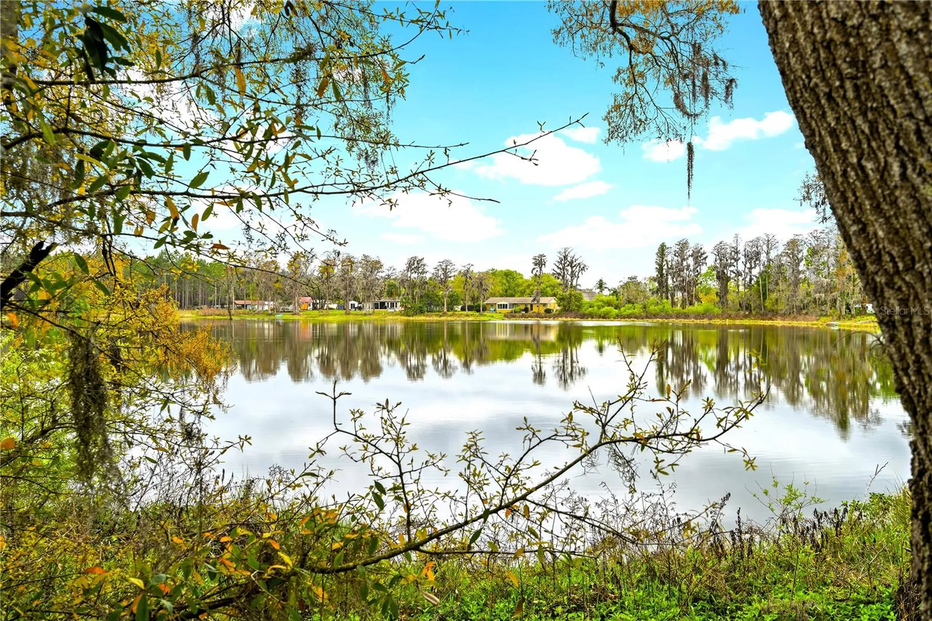 18117 Boy Scout Road Odessa FL 33556