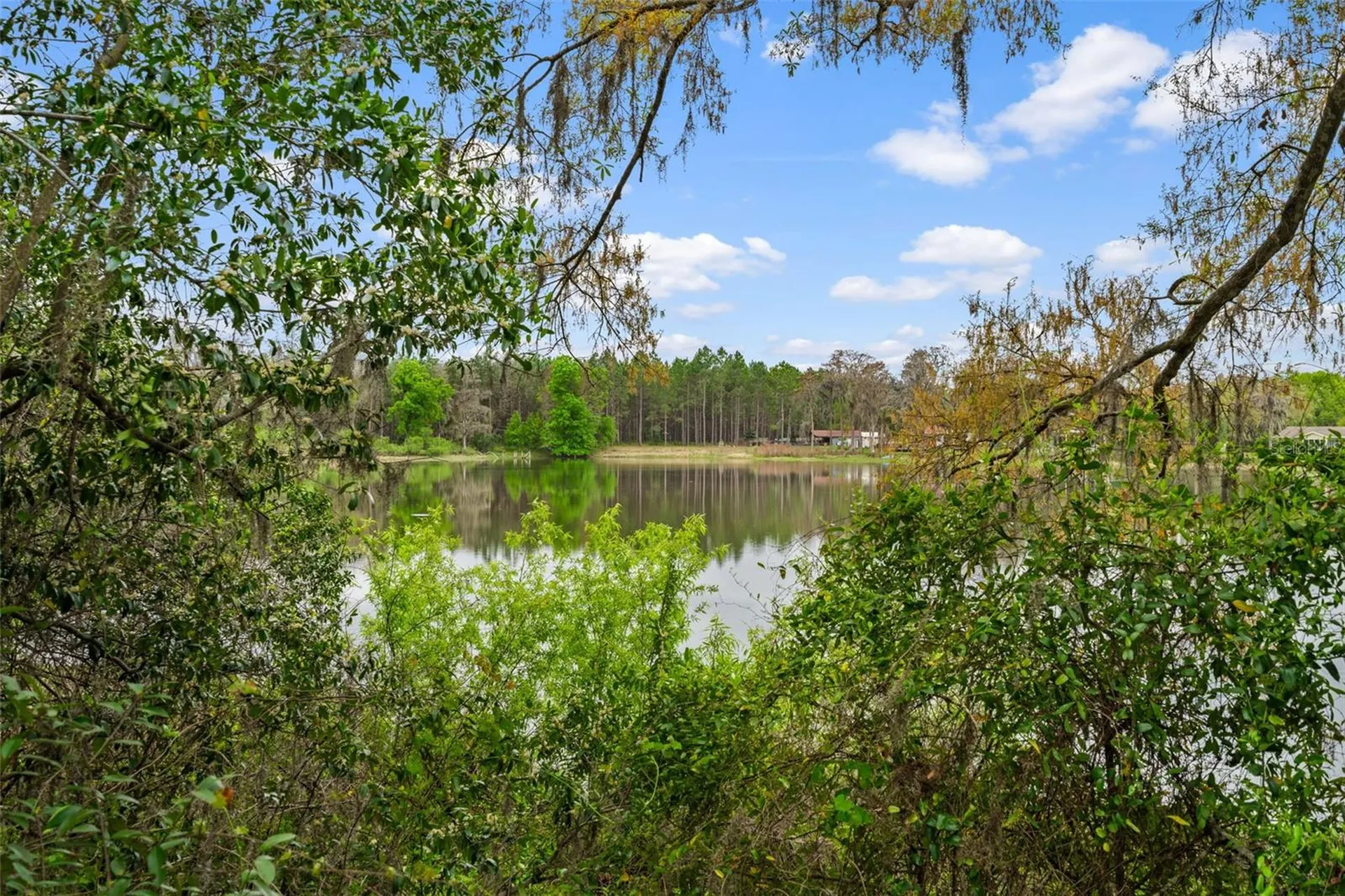 18117 Boy Scout Road Odessa FL 33556