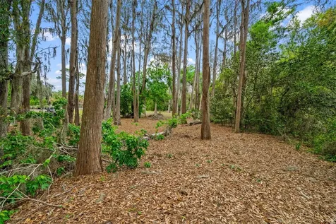 18117 Boy Scout Road Odessa FL 33556