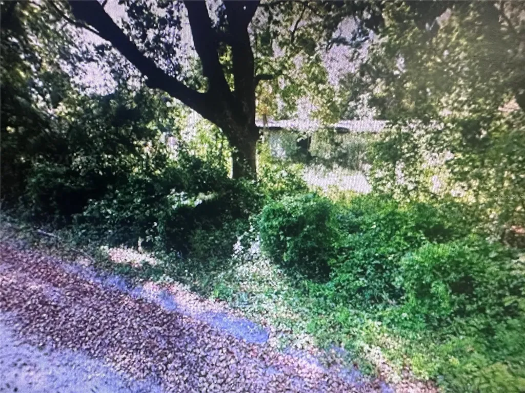 4289 SE 20th Street Trenton FL 32693