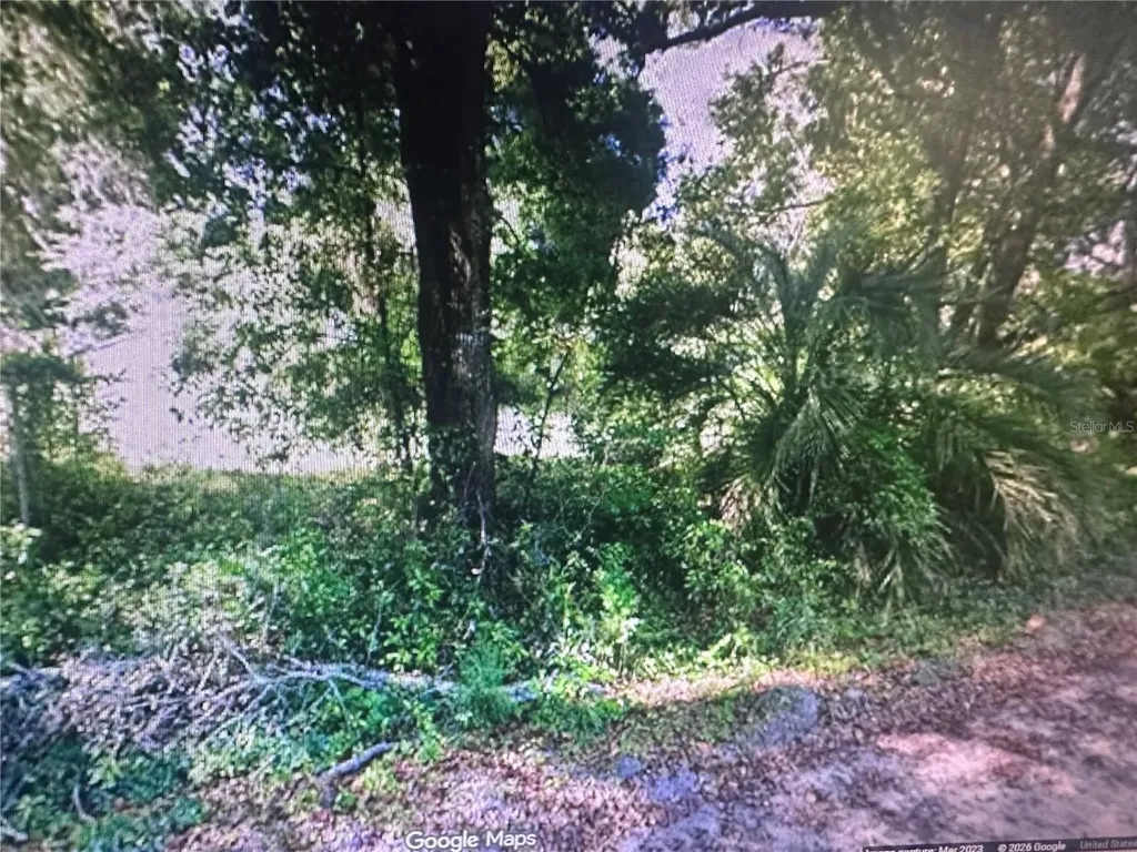 4289 SE 20th Street Trenton FL 32693