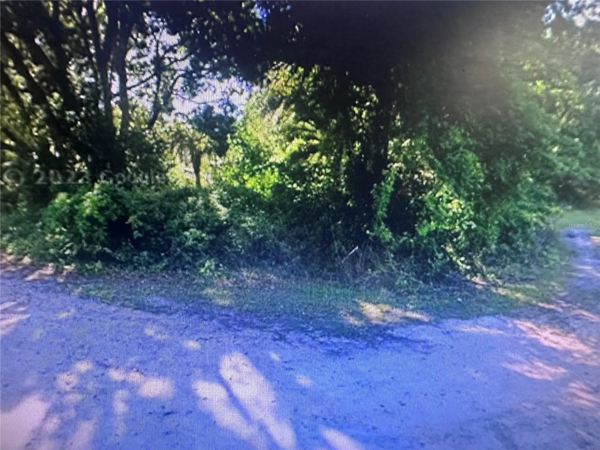 4289 SE 20th Street Trenton FL 32693