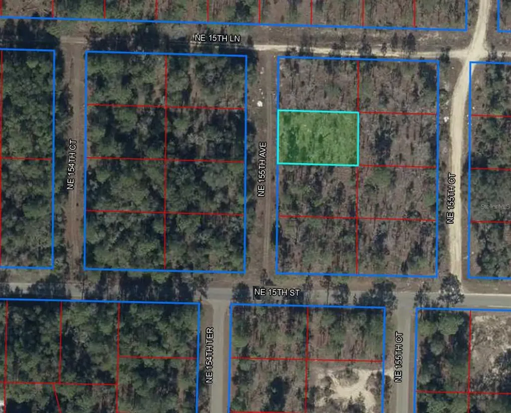 Tbd NE 155th Avenue Williston FL 32696