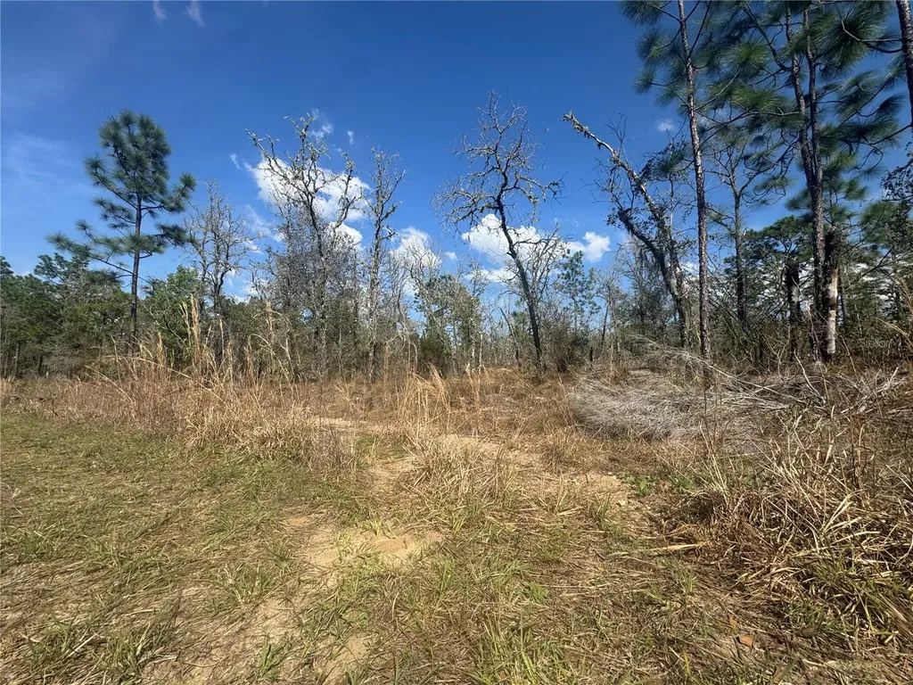 Tbd NE 155th Avenue Williston FL 32696