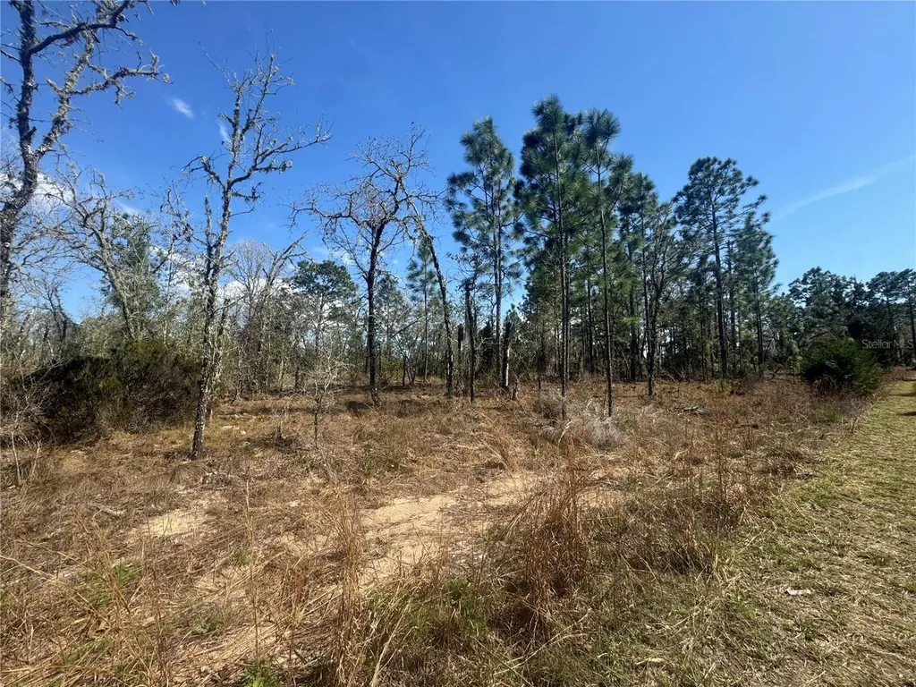 Tbd NE 155th Avenue Williston FL 32696