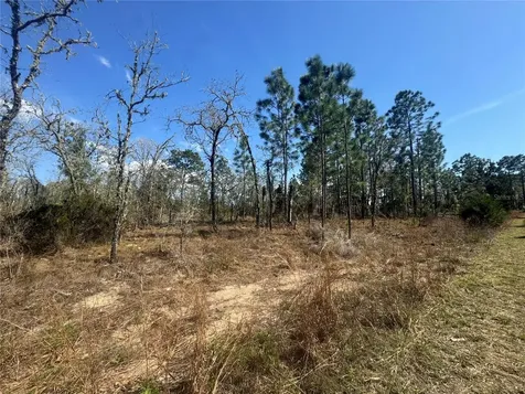 Tbd NE 155th Avenue Williston FL 32696