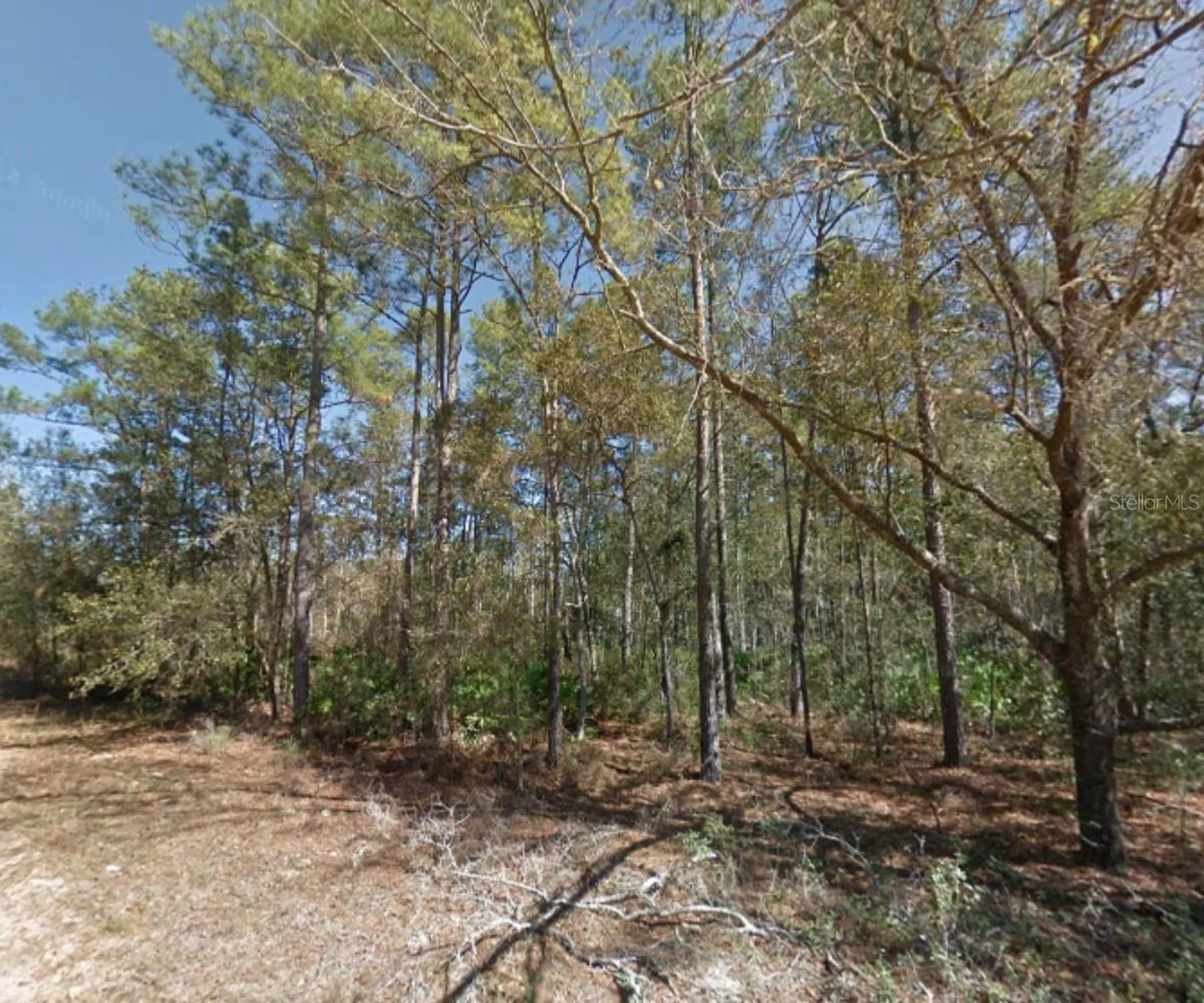 112 Stack Avenue Interlachen FL 32148