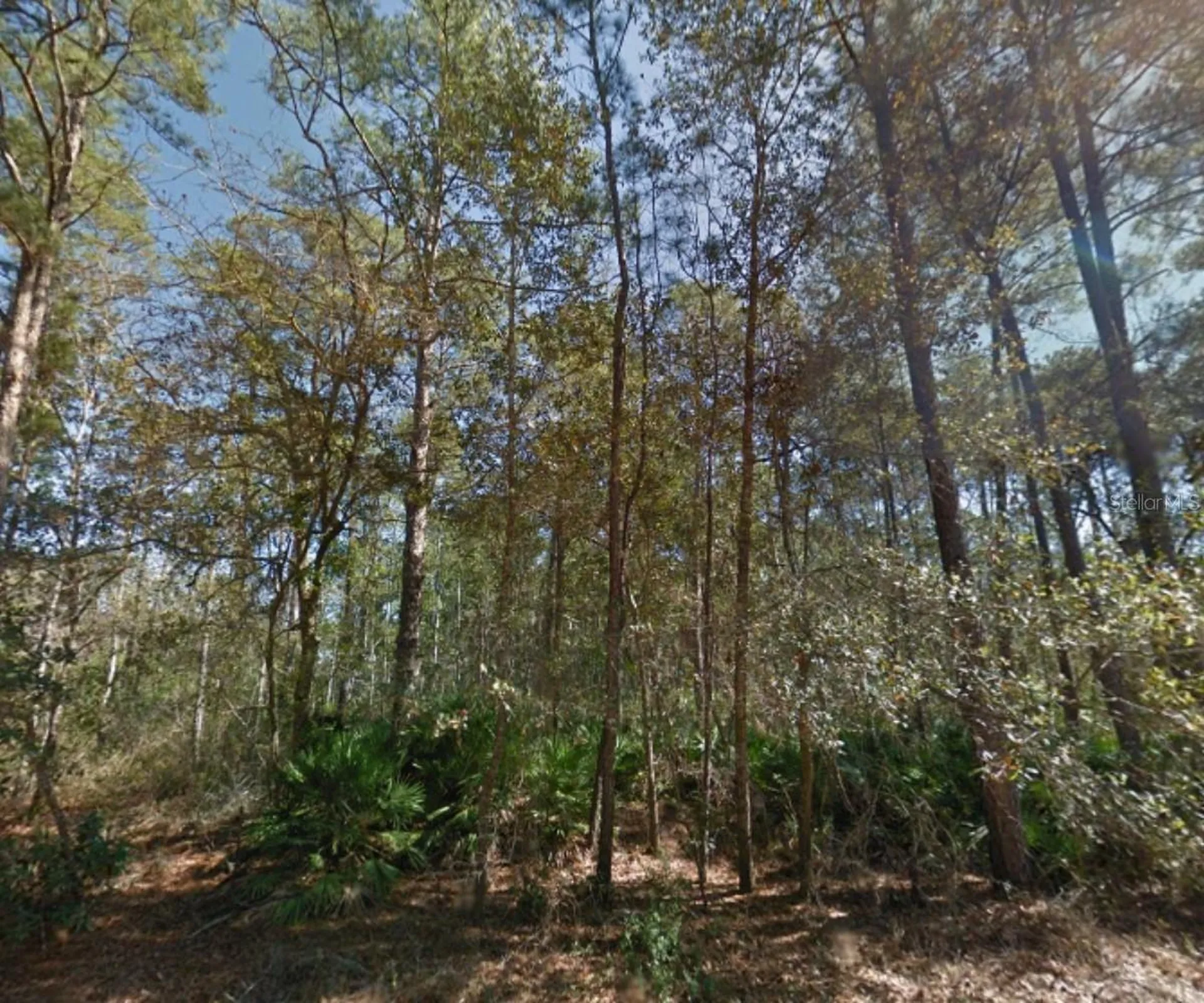 112 Stack Avenue Interlachen FL 32148