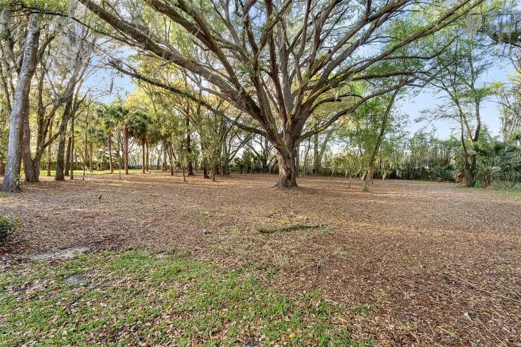 7341 Bella Foresta Place Sanford FL 32771