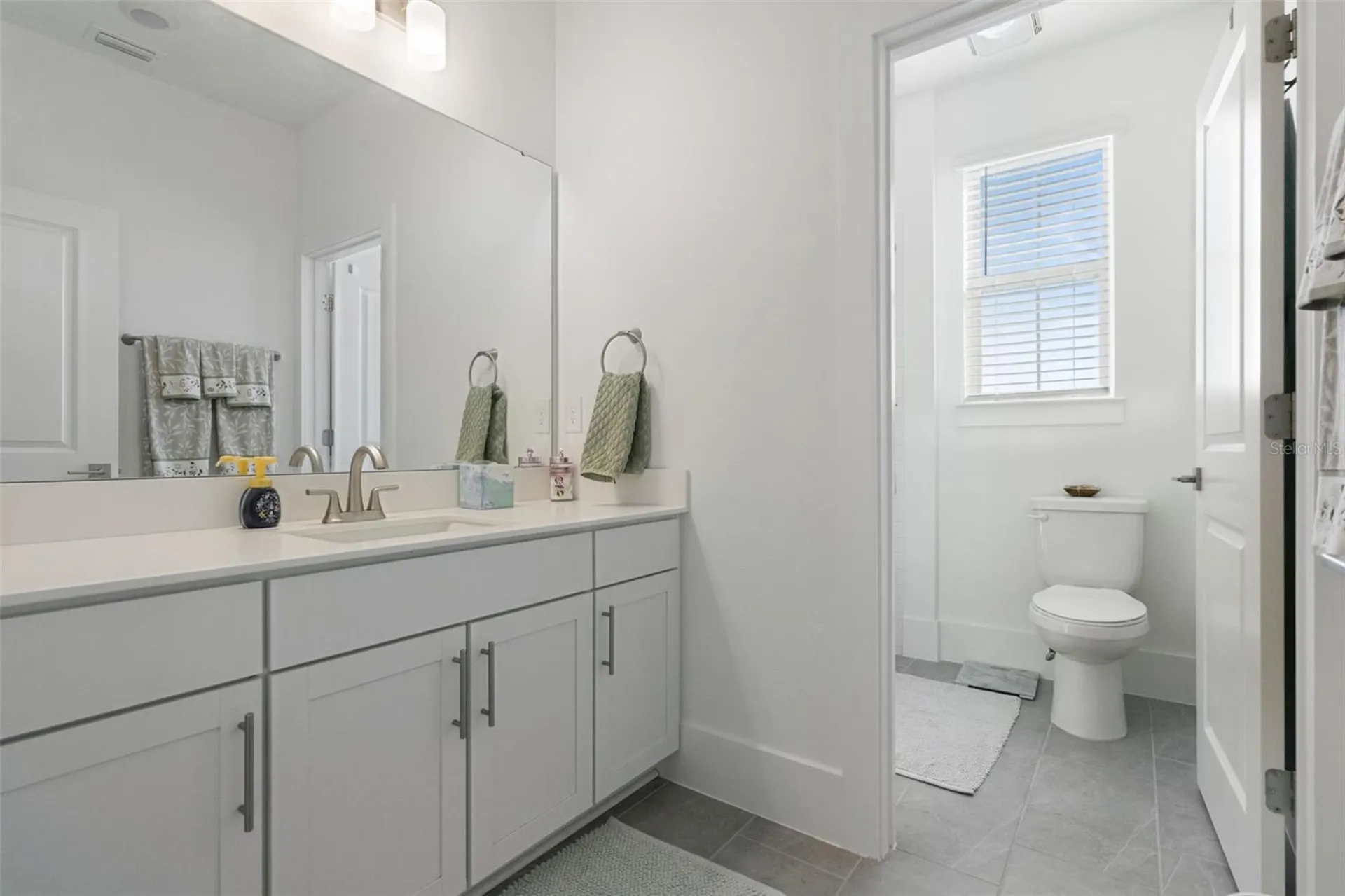 12566 Westhaven Oak Drive Winter Garden FL 34787