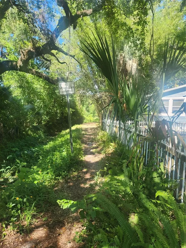 504 Belmont Street Safety Harbor FL 34695