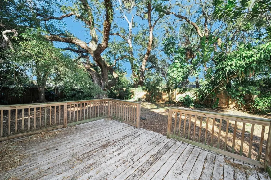 504 Belmont Street Safety Harbor FL 34695