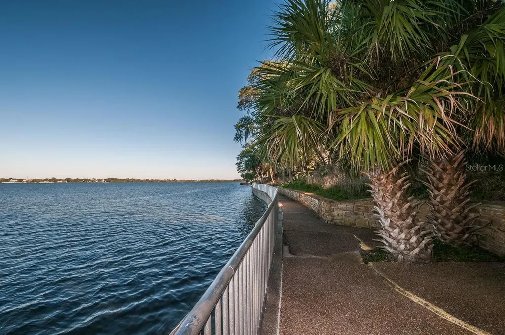 504 Belmont Street Safety Harbor FL 34695
