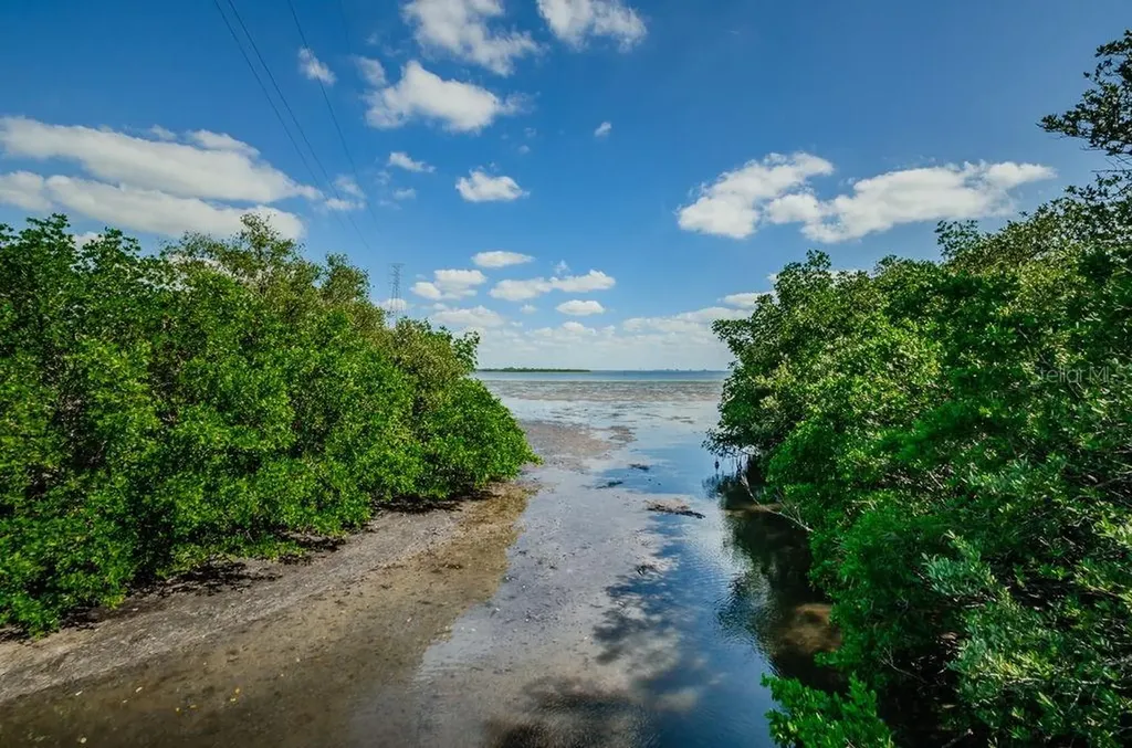 504 Belmont Street Safety Harbor FL 34695