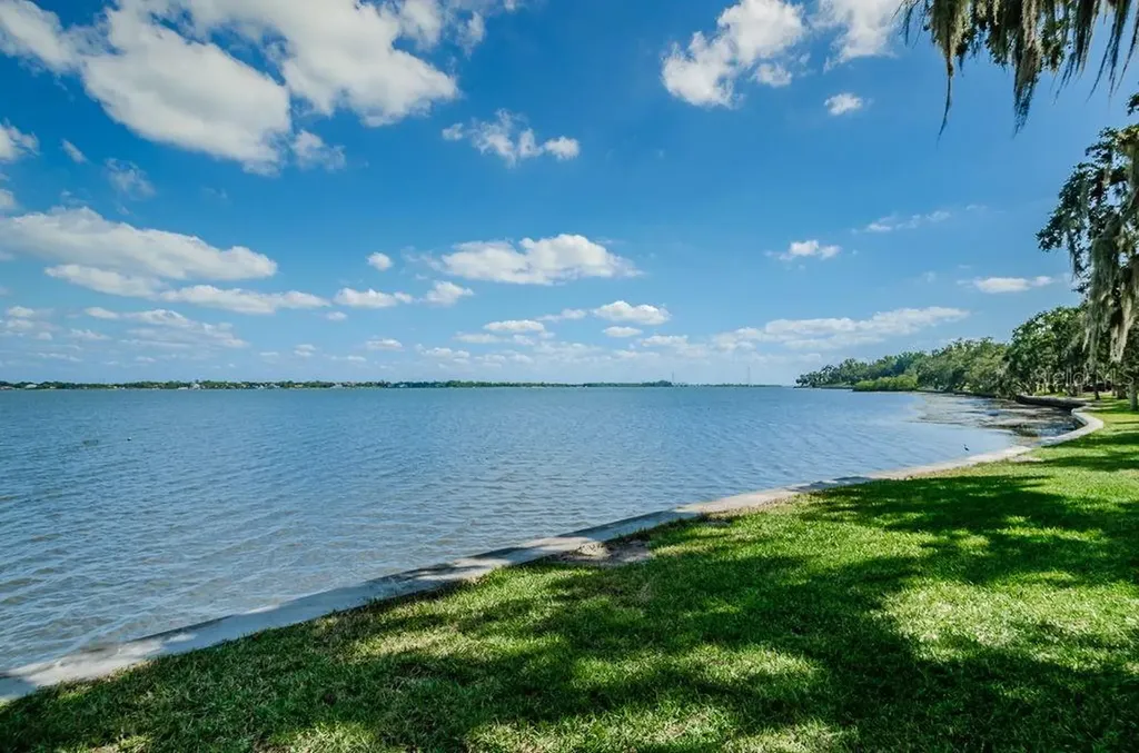 504 Belmont Street Safety Harbor FL 34695