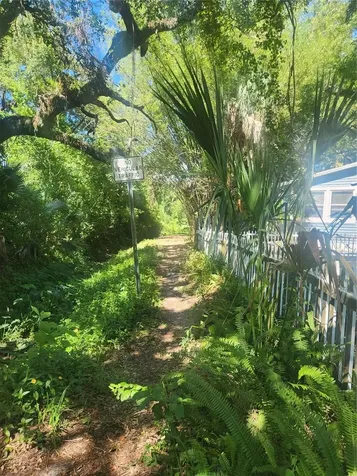 504 Belmont Street Safety Harbor FL 34695