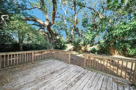 504 Belmont Street Safety Harbor FL 34695