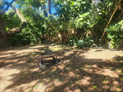 504 Belmont Street Safety Harbor FL 34695