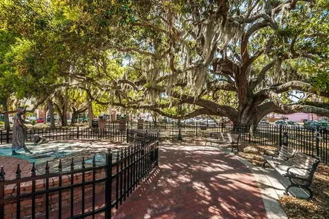 504 Belmont Street Safety Harbor FL 34695