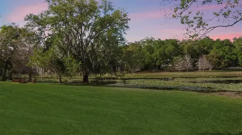 1501 Druid Isle Road Maitland FL 32751