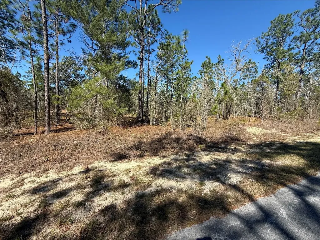 Lot 5 SE 130 Court Dunnellon FL 34431