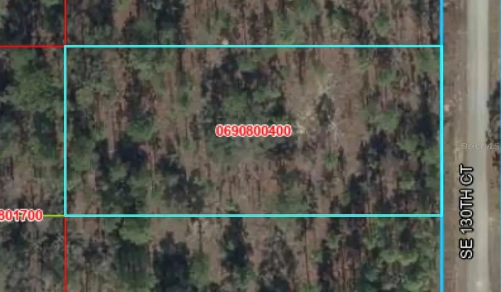 Lot 5 SE 130 Court Dunnellon FL 34431