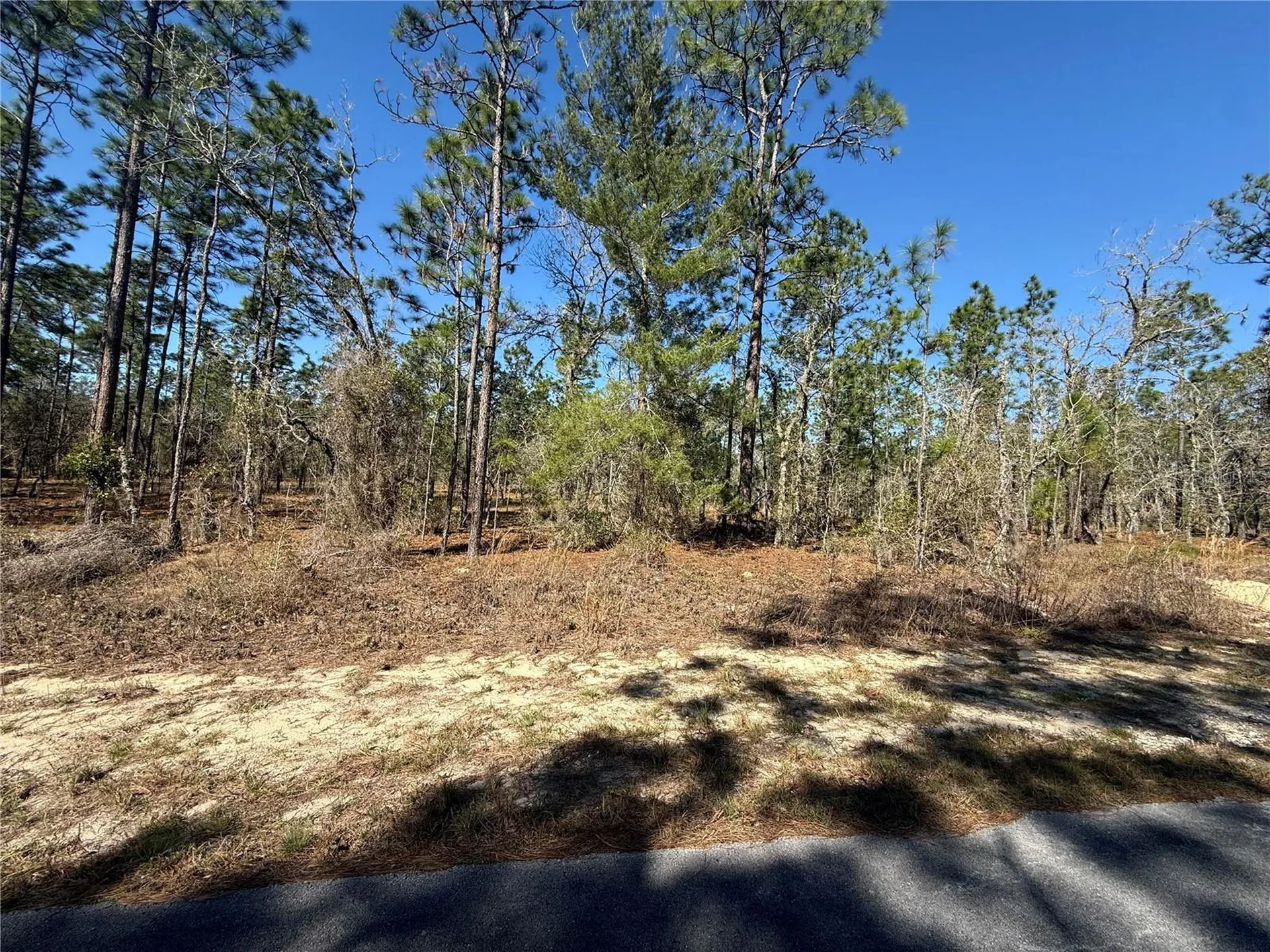 Lot 5 SE 130 Court Dunnellon FL 34431