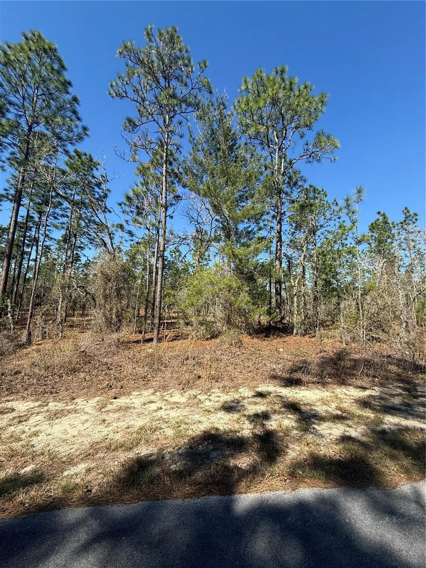 Lot 5 SE 130 Court Dunnellon FL 34431