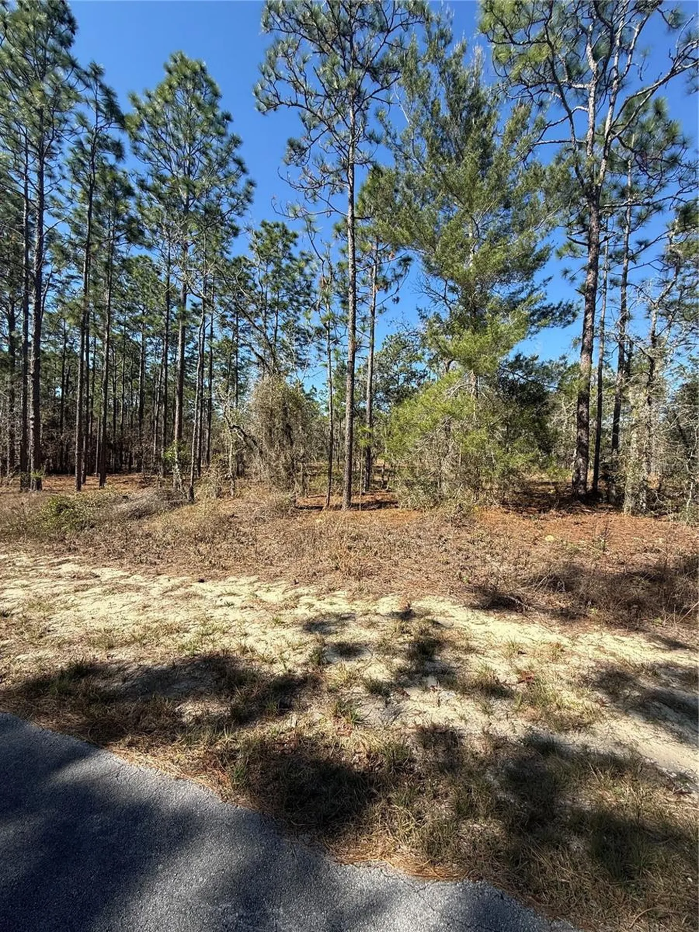 Lot 5 SE 130 Court Dunnellon FL 34431