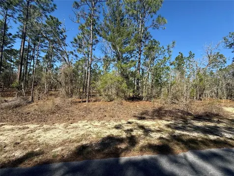 Lot 5 SE 130 Court Dunnellon FL 34431