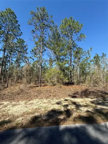 Lot 5 SE 130 Court Dunnellon FL 34431