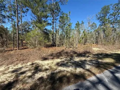 Lot 5 SE 130 Court Dunnellon FL 34431